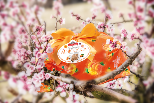 Colomba de Albaricoque incarto